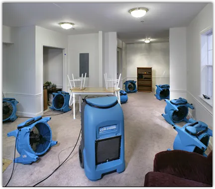 Water Mitigation Services in Rocky Mount, NC