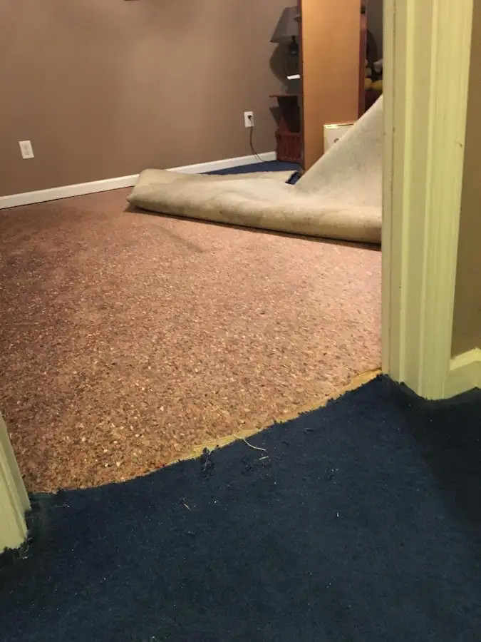 Carpet pad removal revealing water damage during Water Mitigation Services in Rocky Mount