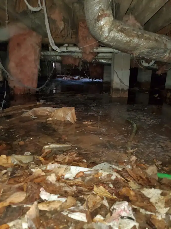 Crawl space flood assessment for Commercial Water Damage Restoration in Rocky Mount